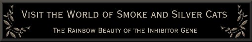 Visit the World of Smoke & Silver Cats