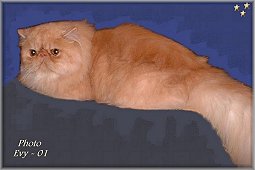 Källtorpet's Bill