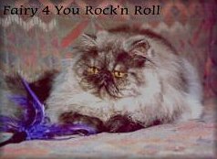 Fairy 4 U Rock'n Roll