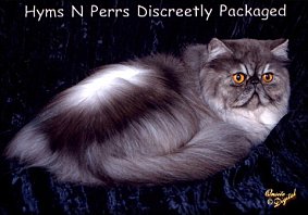 Hyms N Perrs Discreetly Packaged